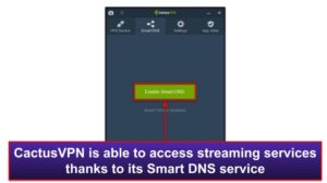 Smart Dns Cactusvpn 2022 Review Is It Fast Safe Best Antivirus By Ssg: Trusted Antivirus Store &Amp; Antivirus Reviews In The Europe