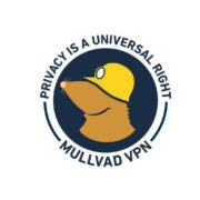 Mullvad Vpn Review: Is It Any Good? [Full 2022 Report]