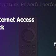 Private Internet Access — Great Streaming Speeds and Highly Customizable Fire Stick App 2022